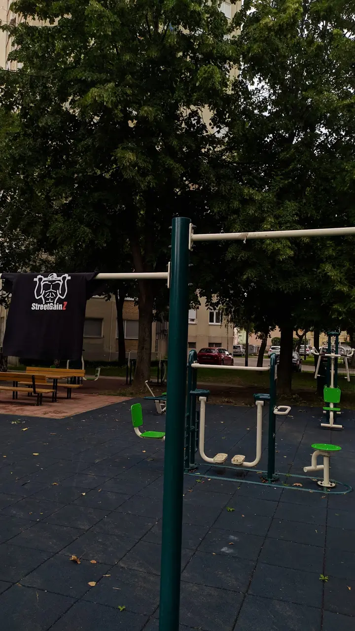 Street Workout park - Fallerovo